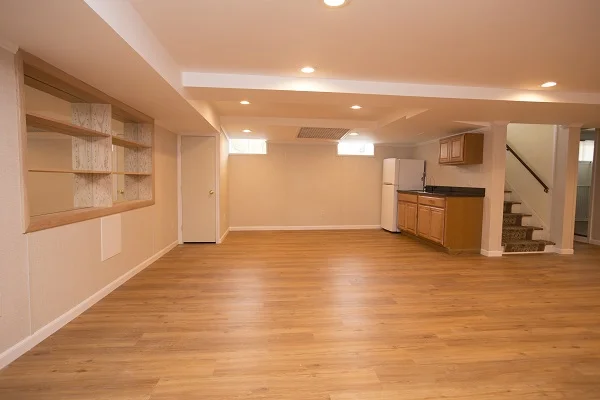 Basement Renovation 